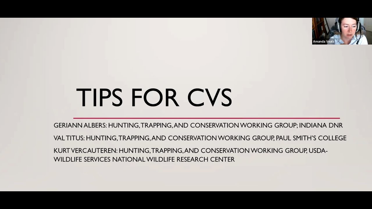 Putting your best foot forward: Building effective CVs and resumes