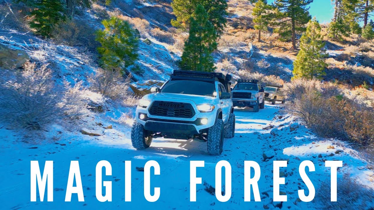 LOST in a SNOWY FOREST | Santa Rosa Mountains Overland Adventure!