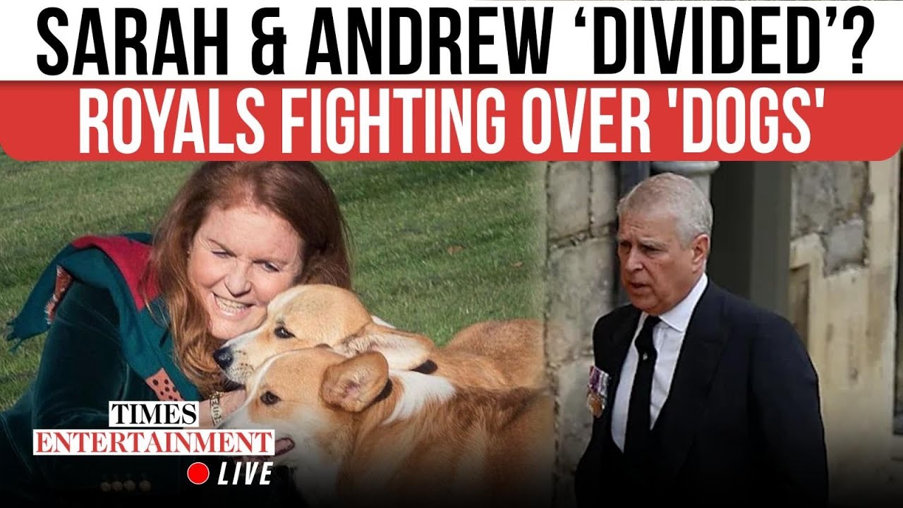 Sarah Ferguson and Andrew at Odds AGAIN? Queen’s Final Gift Sparks Unexpected Tensions | LIVE NOW