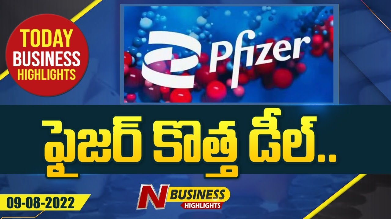 Pfizer to Acquire Global Blood Therapeutics for $5.4 Billion | N Business Highilights | N Business