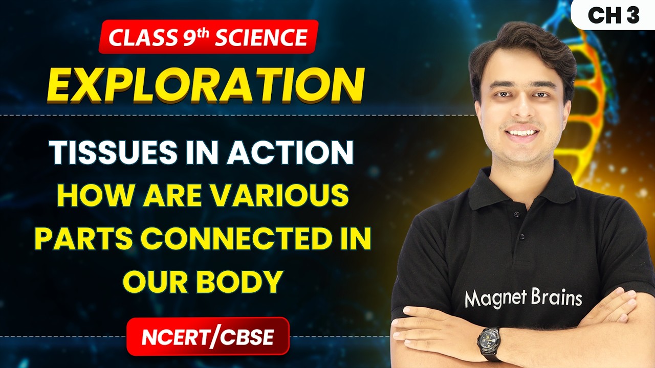 How Are Various Parts Connected in Our Body? - Tissues in Action | Class 9 Science | Ch 3 | CBSE ...