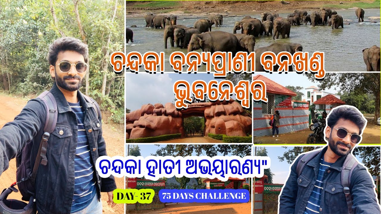 Chandaka Damapada Wildlife Sanctuary | ଚନ୍ଦକା ହାତୀ ଅଭୟାରଣ୍ୟ