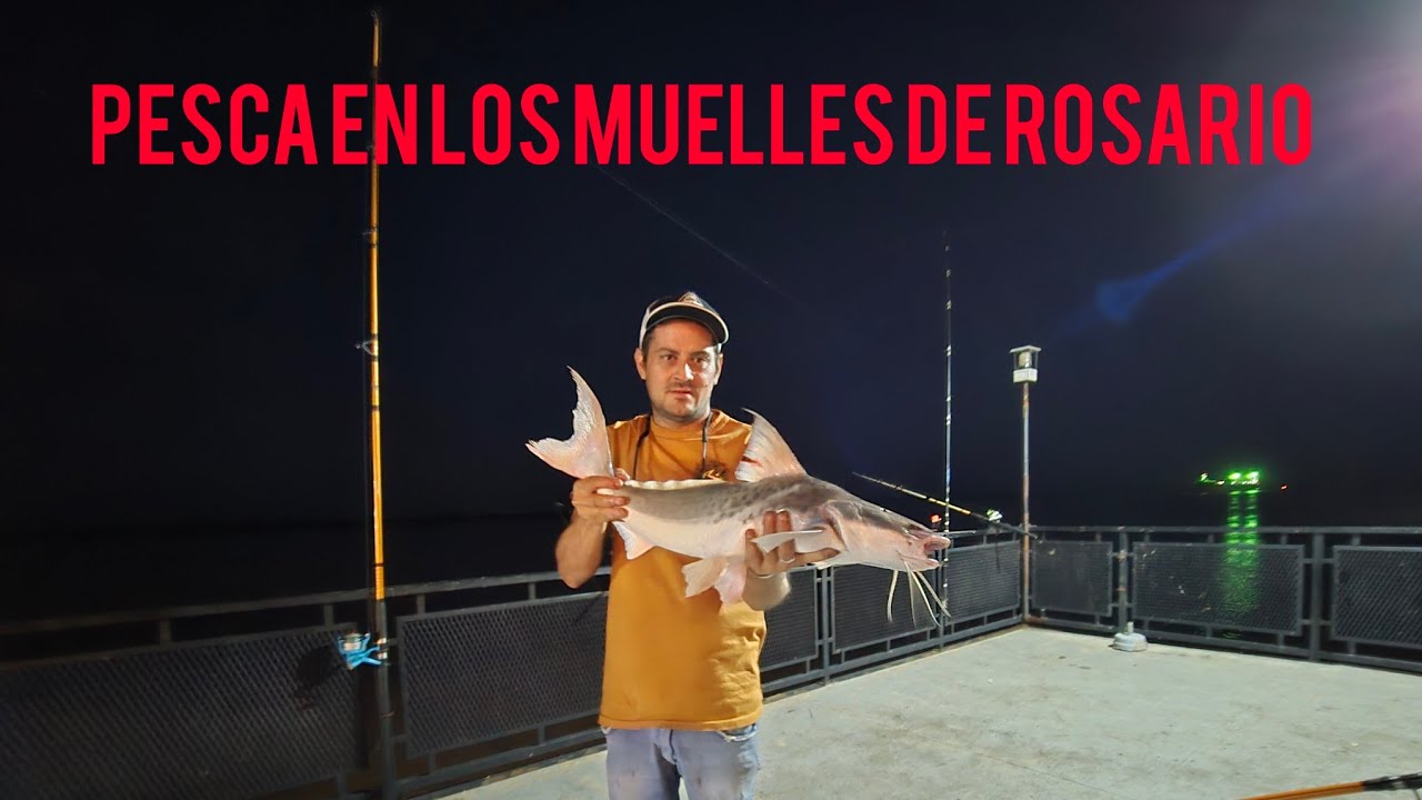 Nos invitaron a pescar al muelle en rosario ... Moncholos amarillos y el invaluable paty 😱