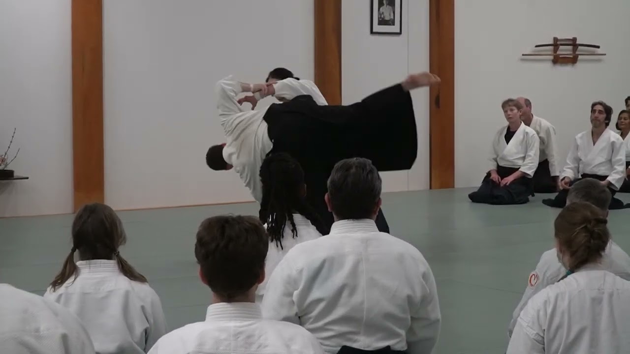 2025 Aikido of Cincinnati 50th Friday PM