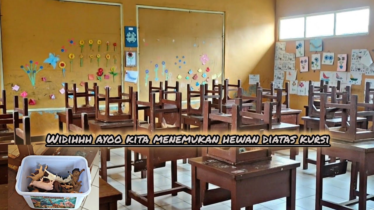 WIDIH AYOO KITA MENEMUKAN HEWAN DIATAS KURSI‼️