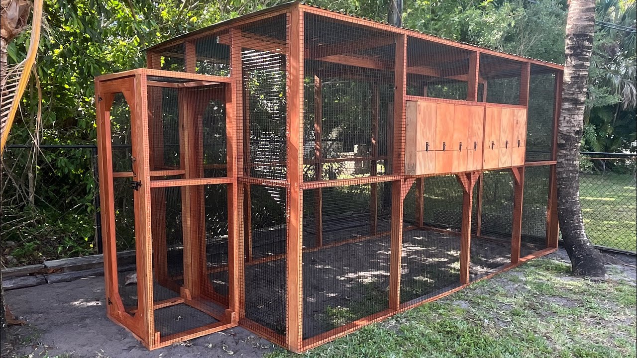I built a bird aviary kit! Giant bird cage! #ultimate #CoopsByJoe #diy #Howto #carpentry #animal fyp