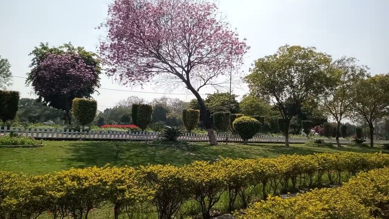 Wonderful scene