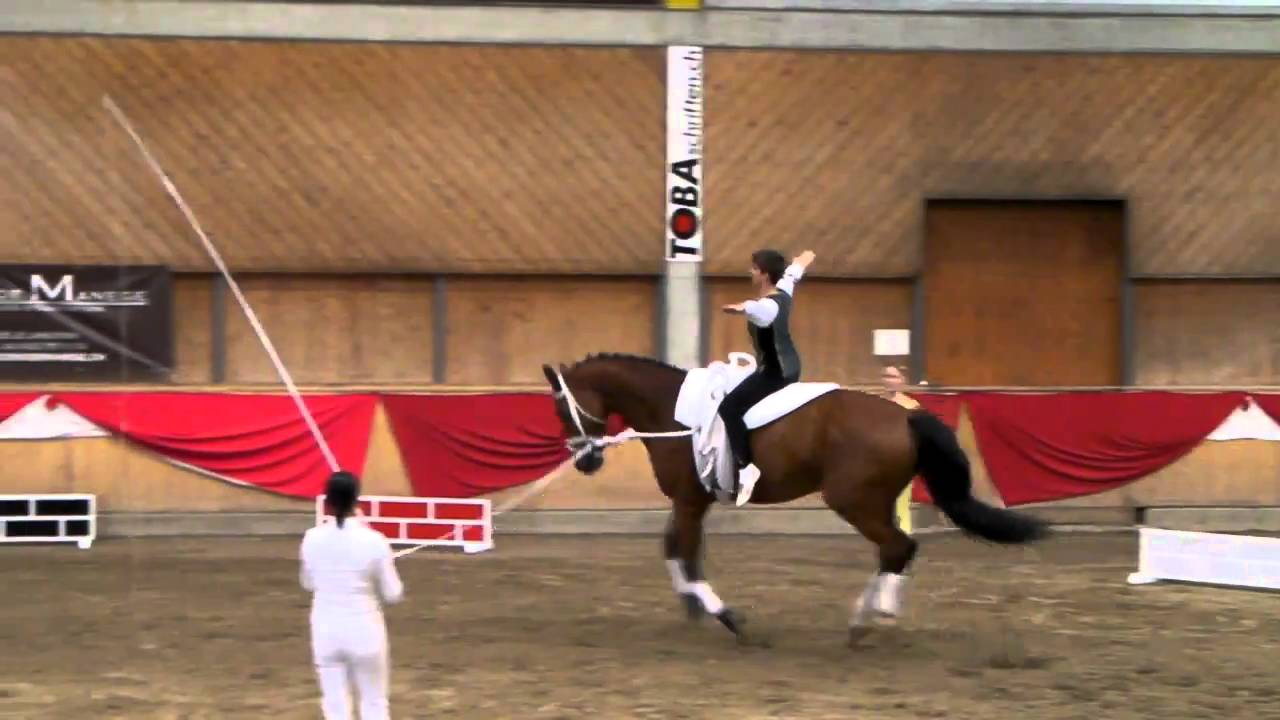 Voltigieren - Pflicht Lukas Heppler &  Ilona Hannich - NPZ Bern - SM Müntschemier - Kat Junioren