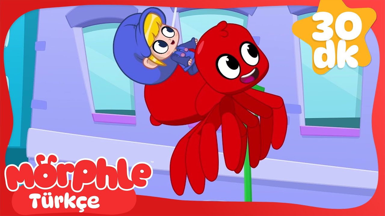 Mini Mini Örümcek | Çocuk Çizgi Filmleri | Morphle Türkçe
