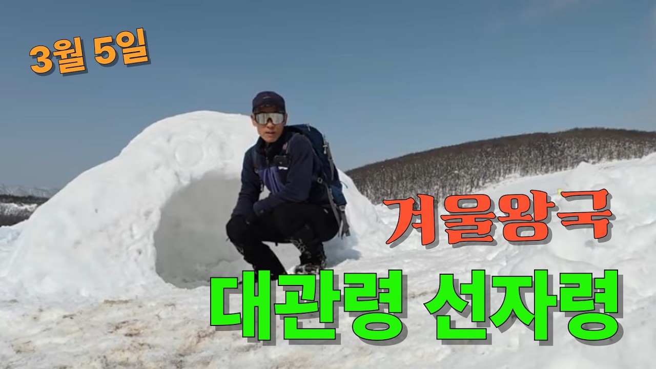 겨울왕국이 보고 싶다면 대관령 선자령 눈산행