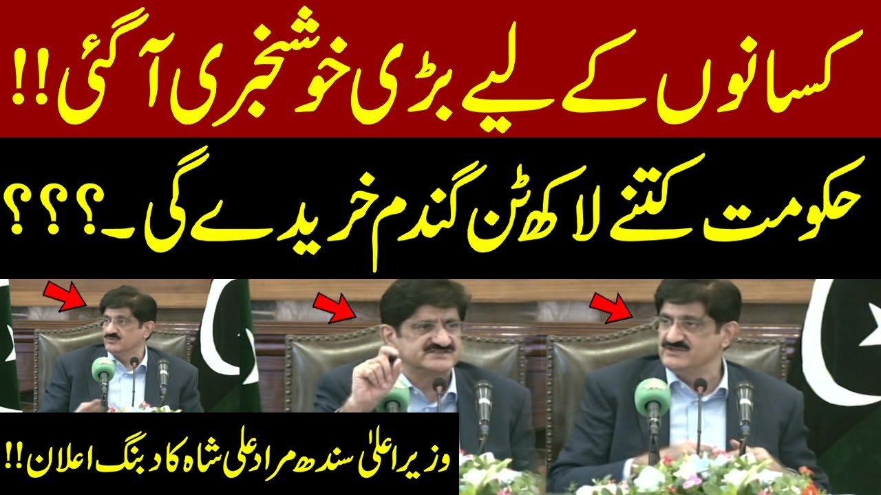 🌾 Big News for Farmers! | CM Sindh Murad Ali Shah Announces Massive Wheat Procurement Plan