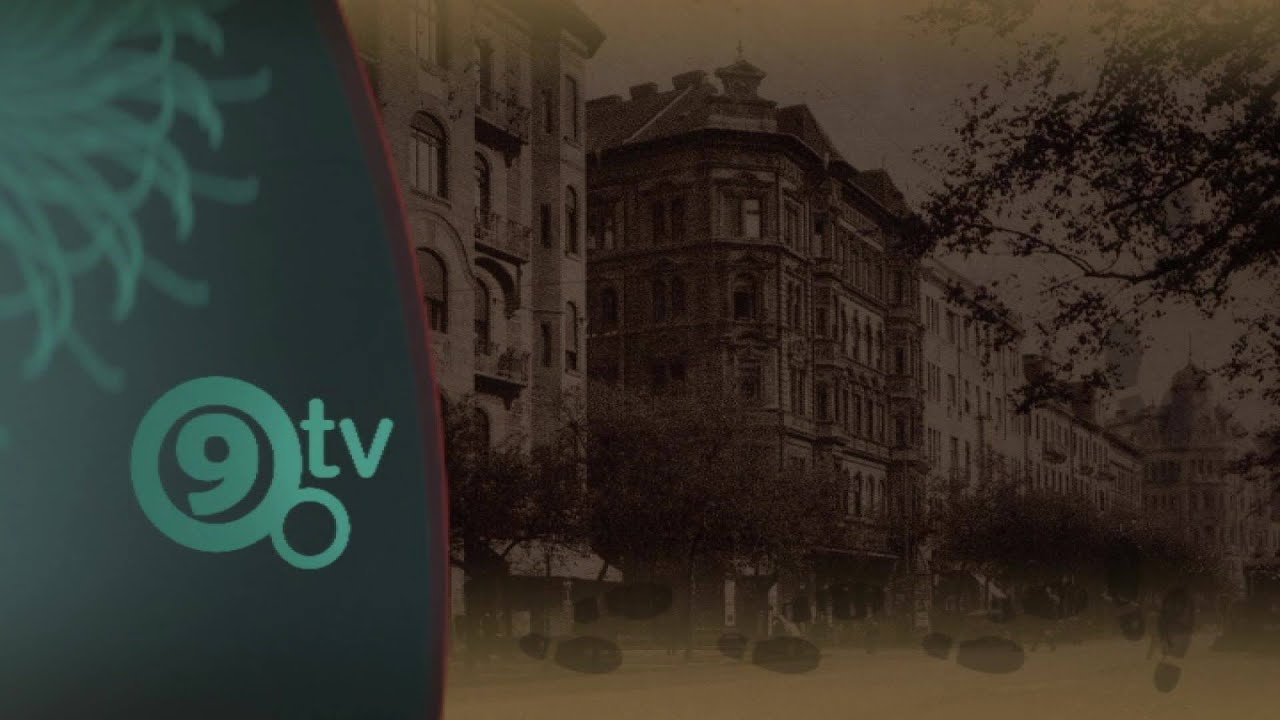 P&aacute;va utcai legek (Ferencv&aacute;rosi s&eacute;t&aacute;k) - 9.Tv
