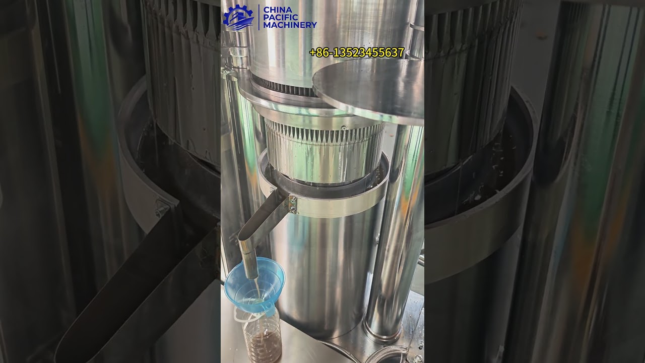 🔥Almond Oil Press Extraction Machine|Cold Press Almond Oil Making Machine|Almond Oil Extractor