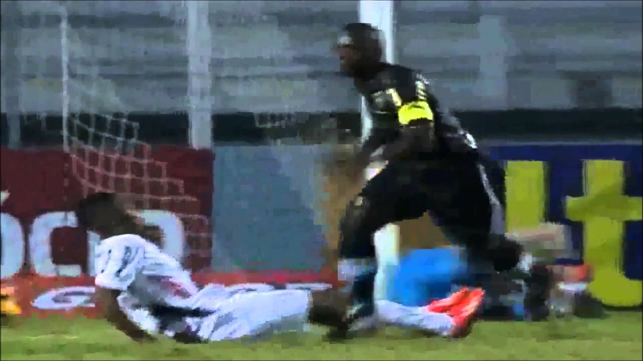 Dribles e Gols Seedorf 2012 2013 Botafogo