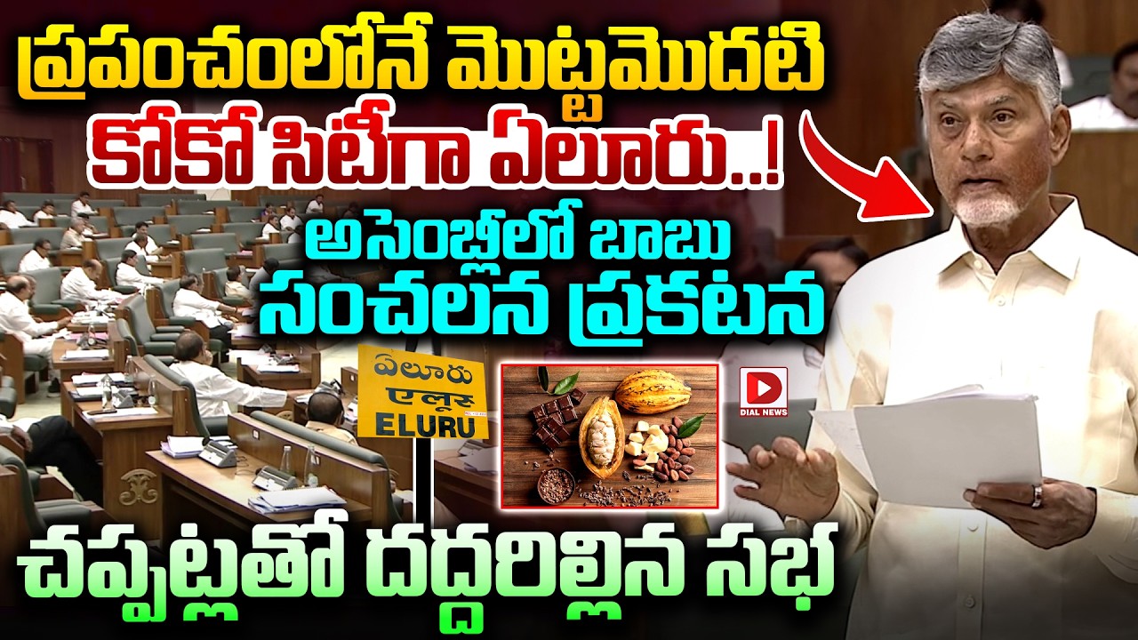 ప్రపంచంలోనే మొట్టమొదటి కోకో సిటీగా ఏలూరు..! CM Chandrababu Sensational Announcement in Assembly