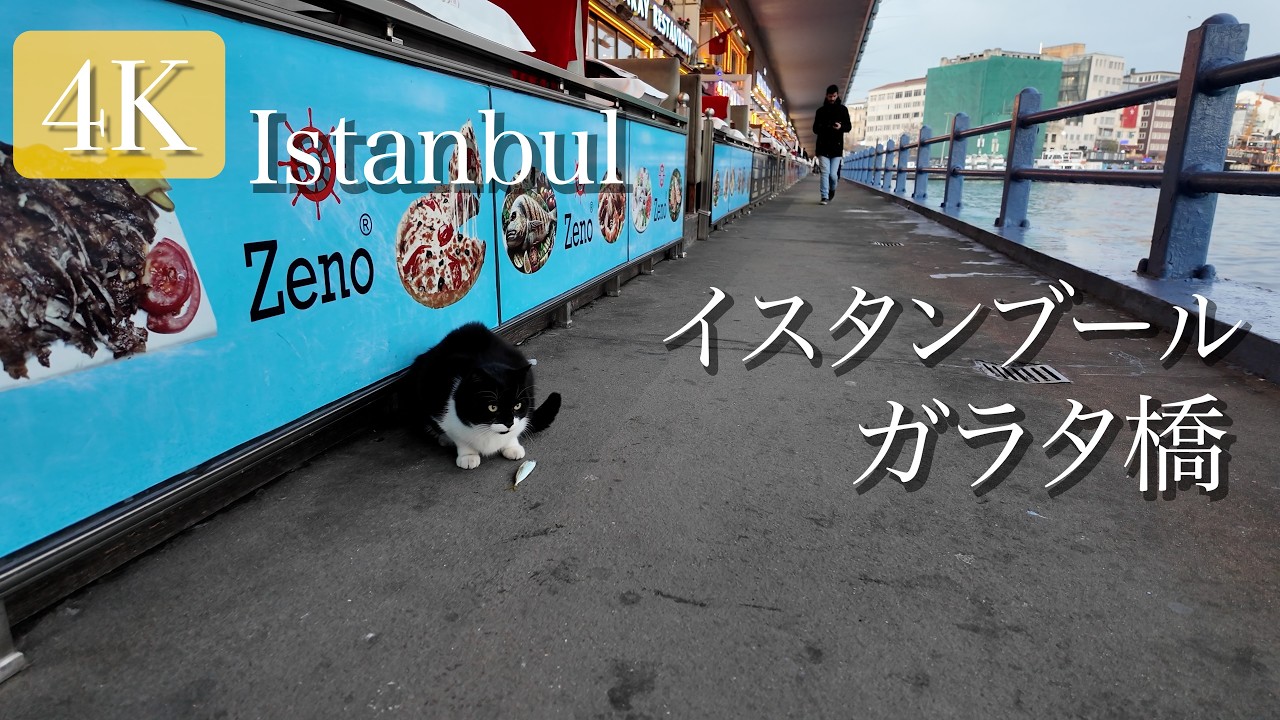 【トルコ/イスタンブール】ガラタ橋に見る冬の夕景と日常 2025年12月 #travel #istanbul