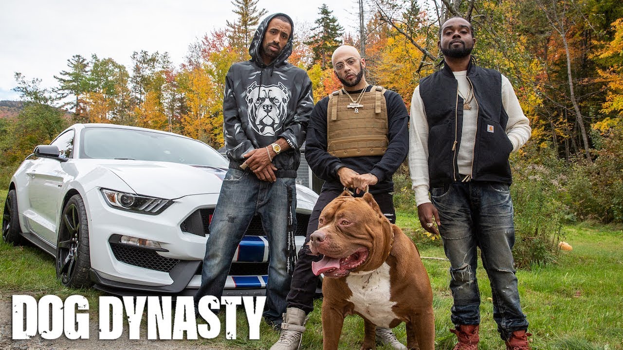World’s Biggest Pitbull Hulk Stars In Rap Video | DOG DYNASTY