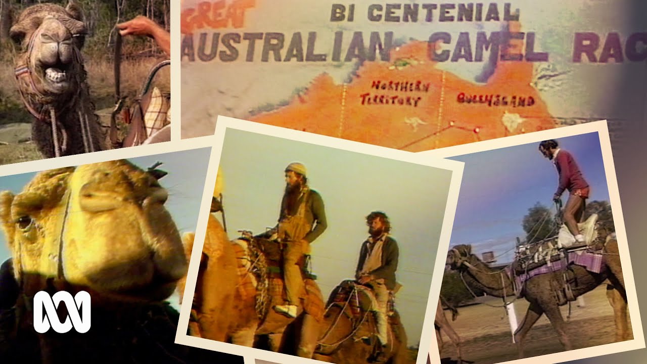 In 1988, these adventurers embarked on a camel race from Uluru to the Gold Coast 🐪 | ABC Australia