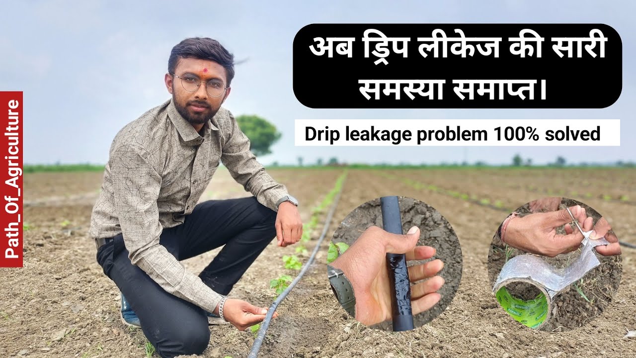 Drip leak Reapir | ड्रिप लीकेज का जबरजस्त जुगाड 😱😱Drip Irrigation System Maintenance Jugaad |