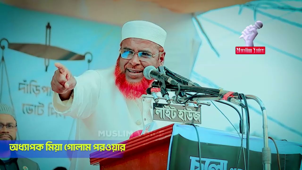 নিজ আসনে হুংকার দিলেন মিয়া গোলাম পরওয়ার । miz golam porwar