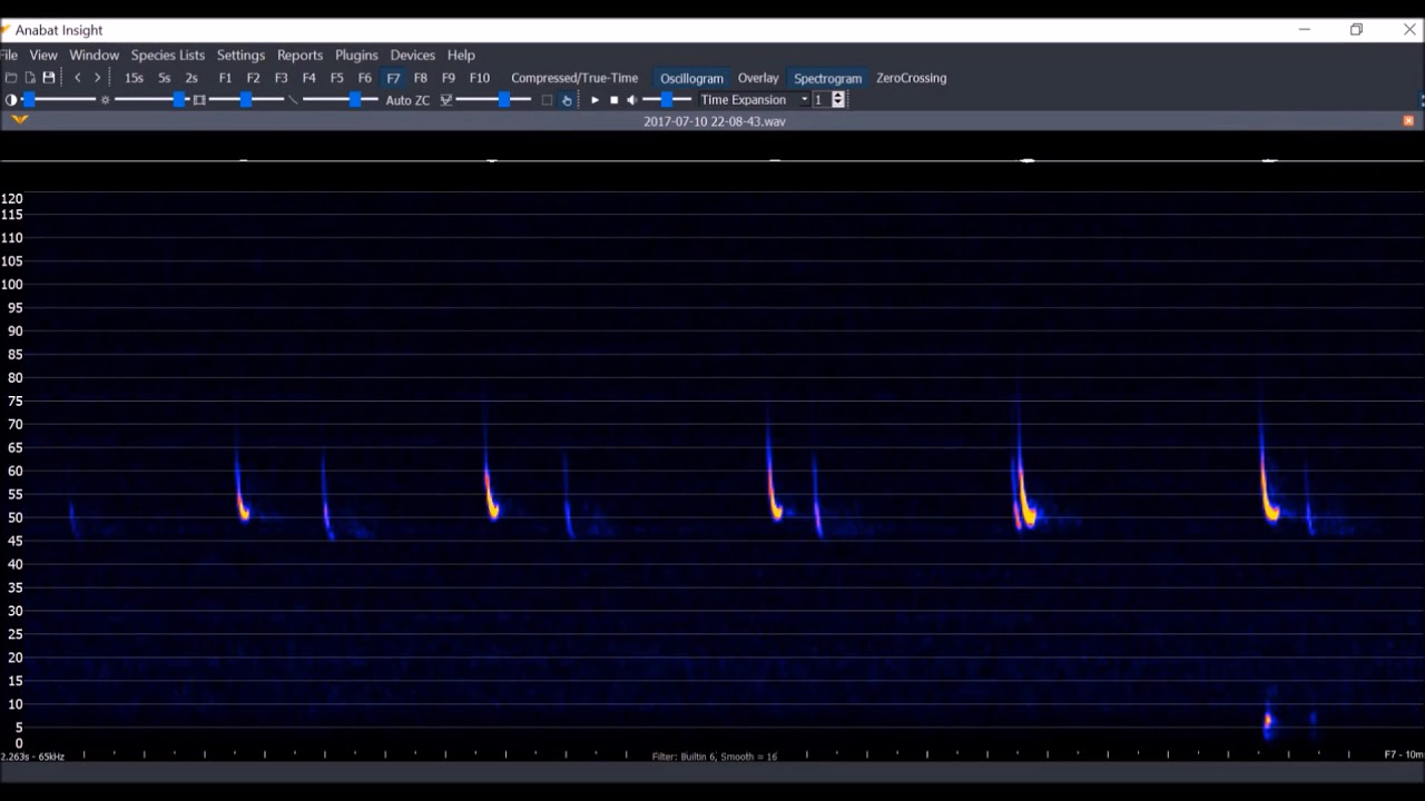 Insight Analysis Software - Getting Started Tutorial Video