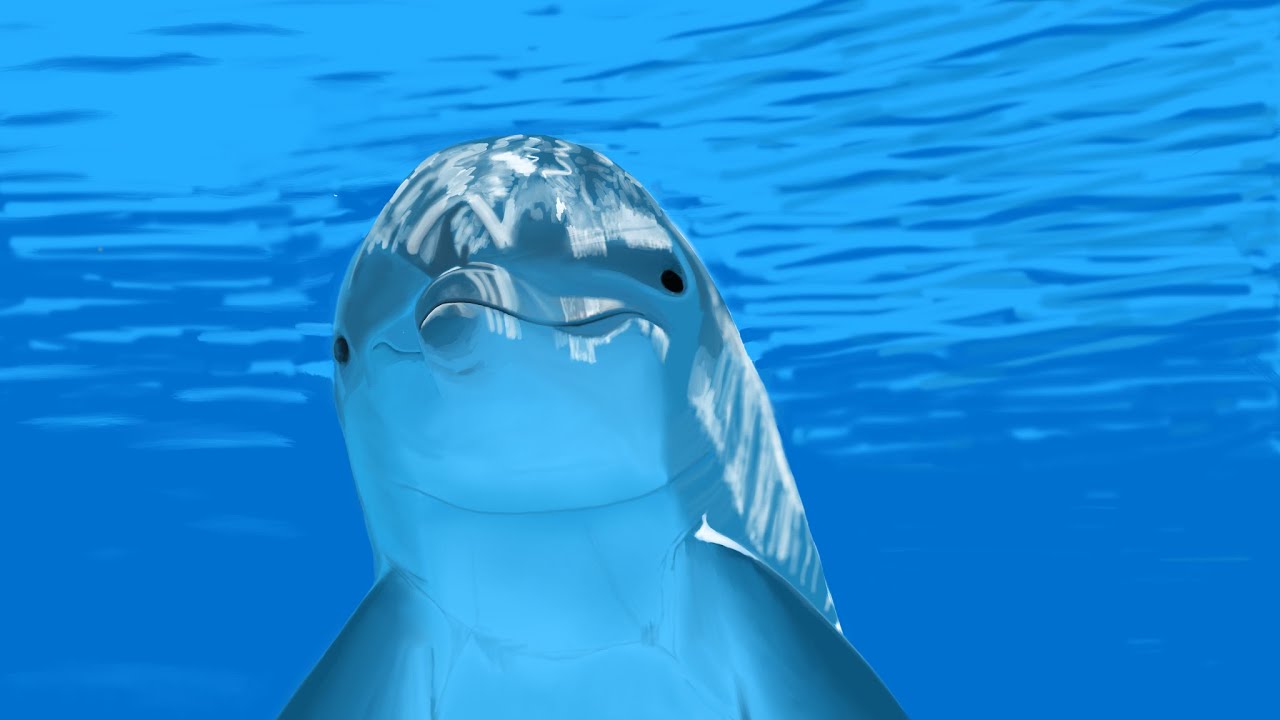 Painting a dolphin under water on iPad using Inspire Pro by snowCanoe