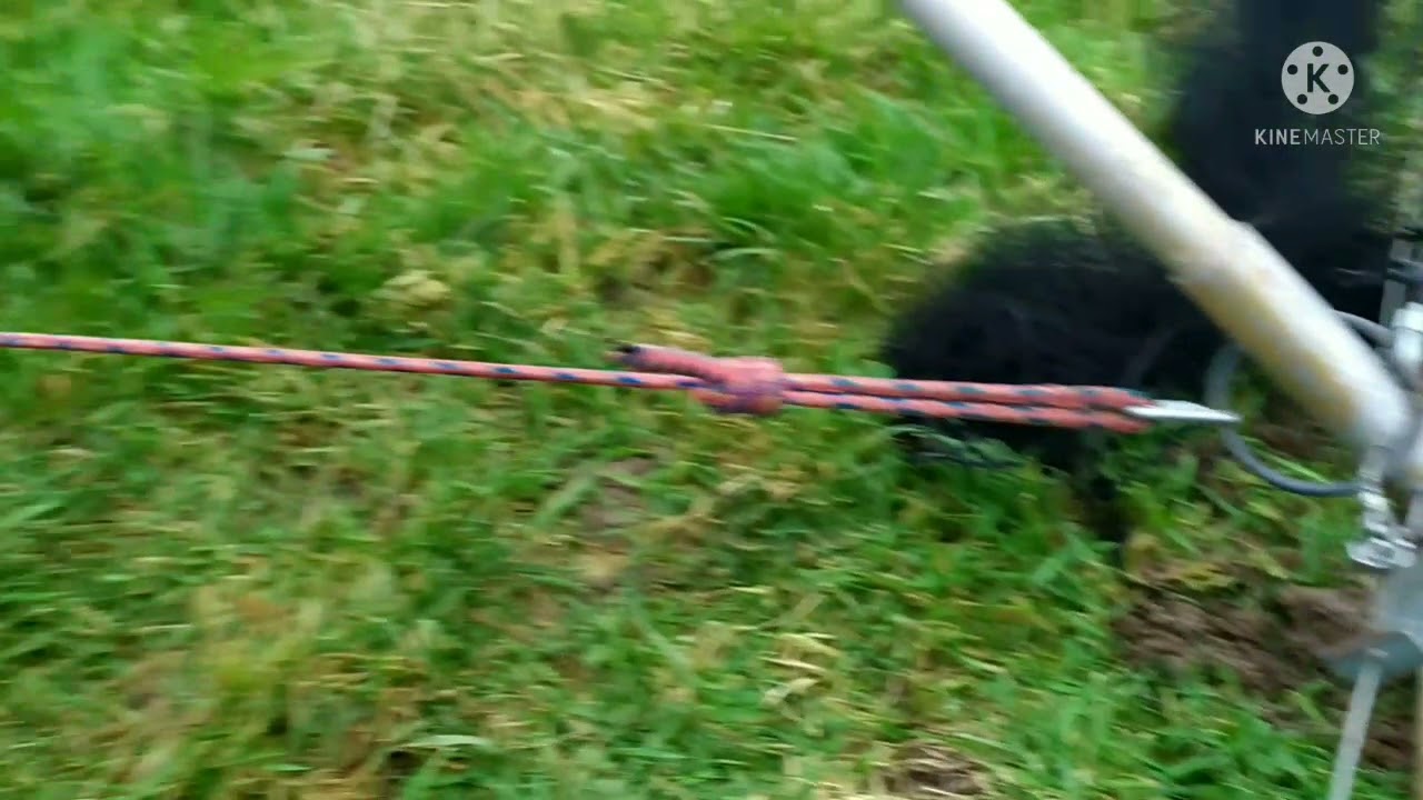 Woosh net 8x3m setup with remote trigger