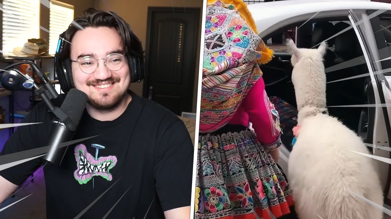 Bigpuffer Reacts to the DUMBEST Daily Dose Memes!