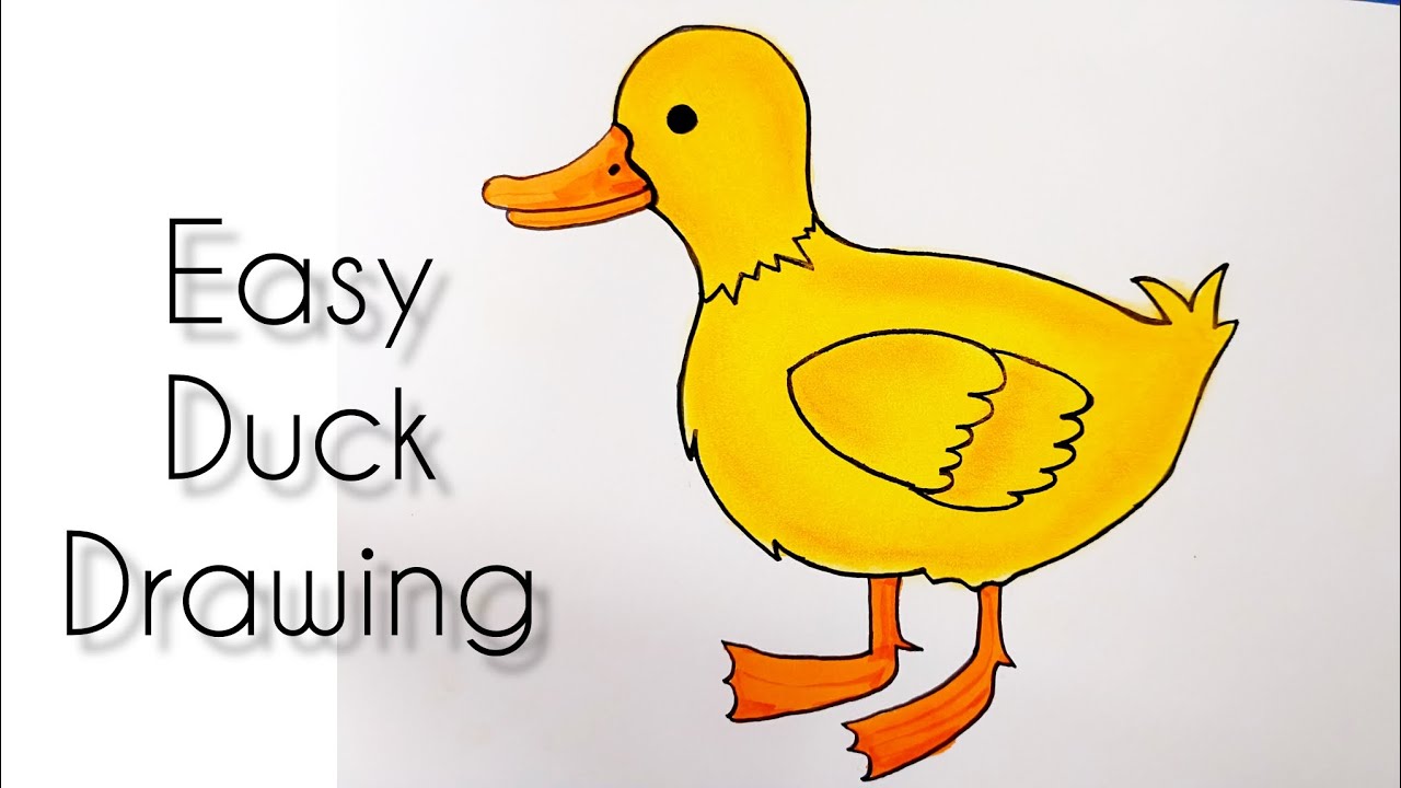 Duck Drawing | kids series | part 2 | Drawtales