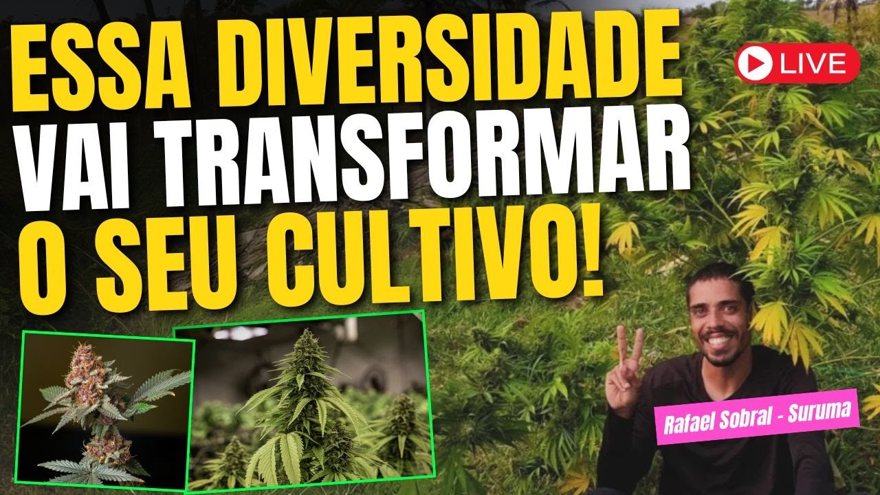 Como melhorar o cultivo com Diversidade na agricultura org&acirc;nica e microorganismos ben&eacute;ficos