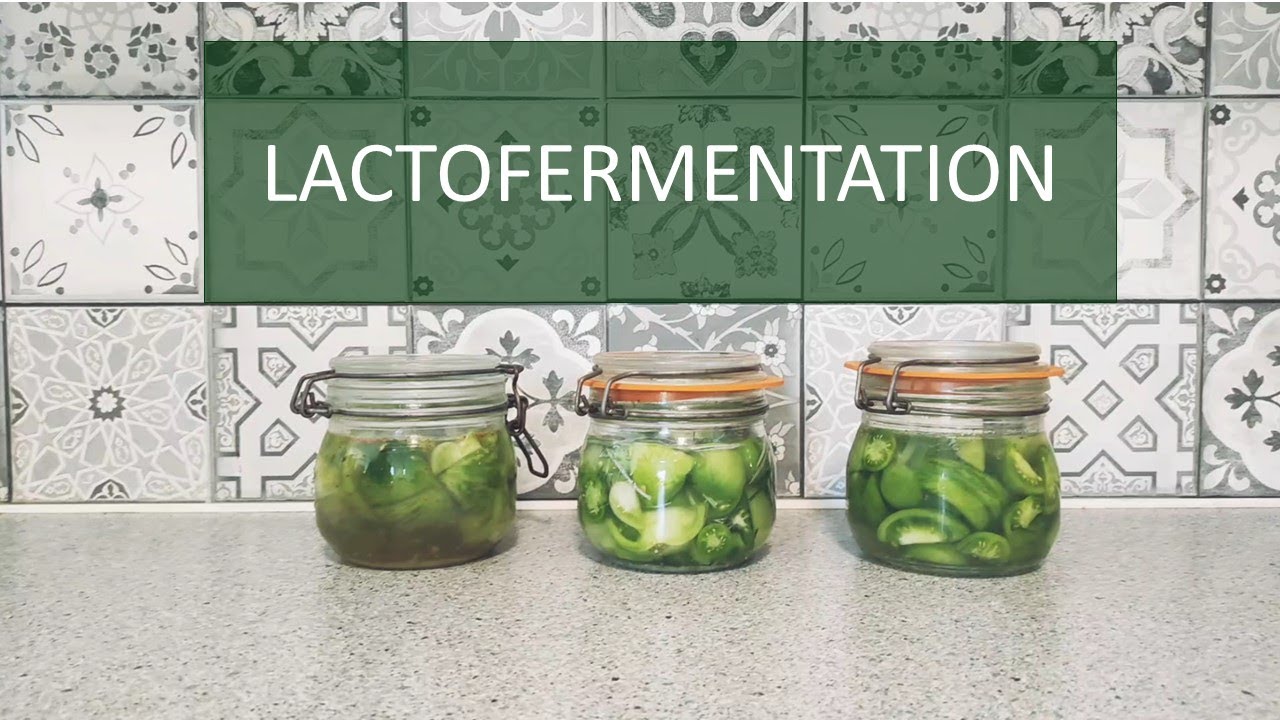 La lactofermentation | Création des bocaux - Episode 1🌱  [L'Oasis - Une Bulle de Nature]