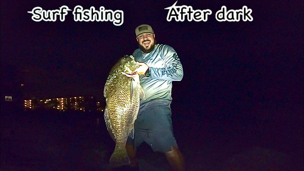 Sur Fishing : BEACH MONSTER‼️