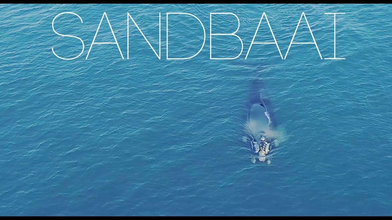 SANDBAAI
