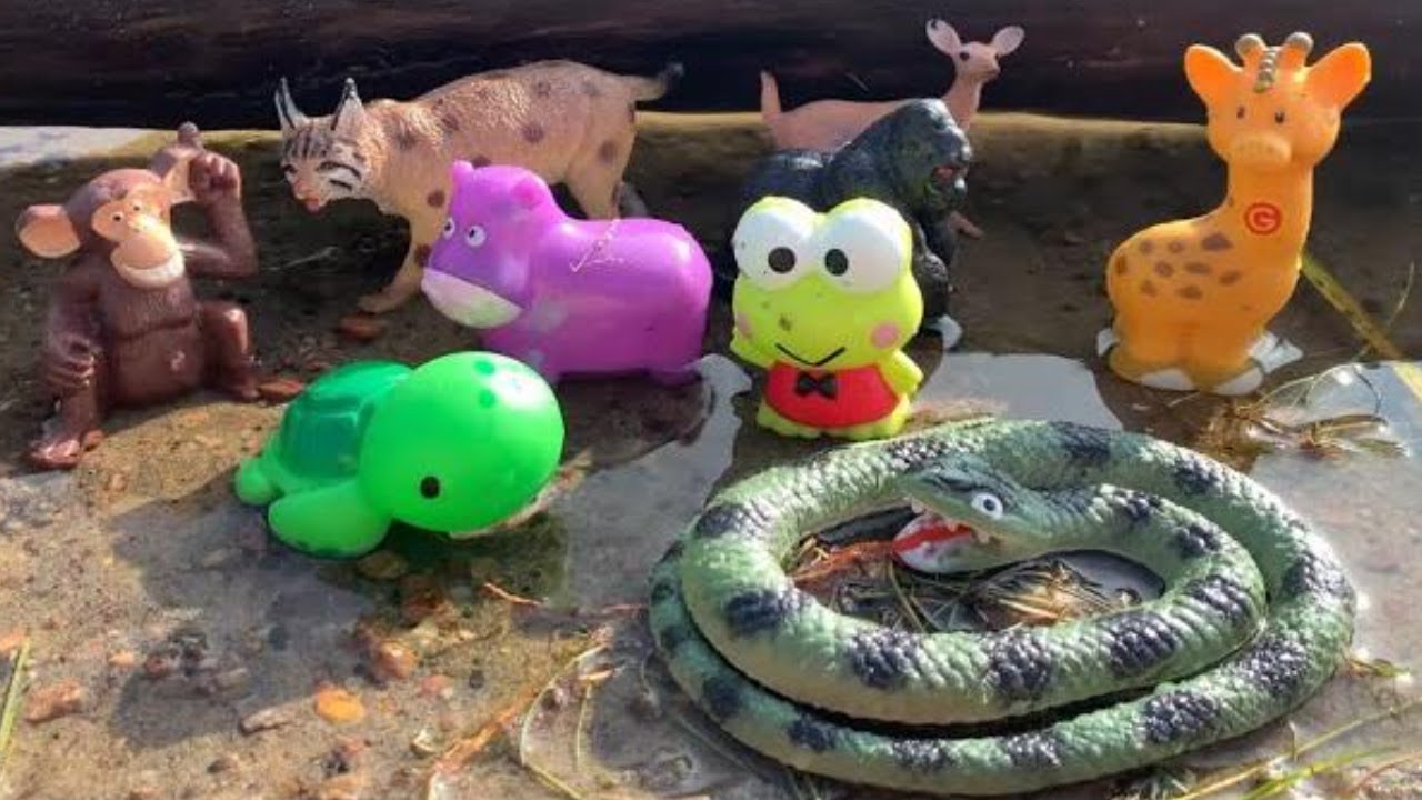 🌍 Exploring the Wild: Interesting Facts with Animal Toys for Kids!