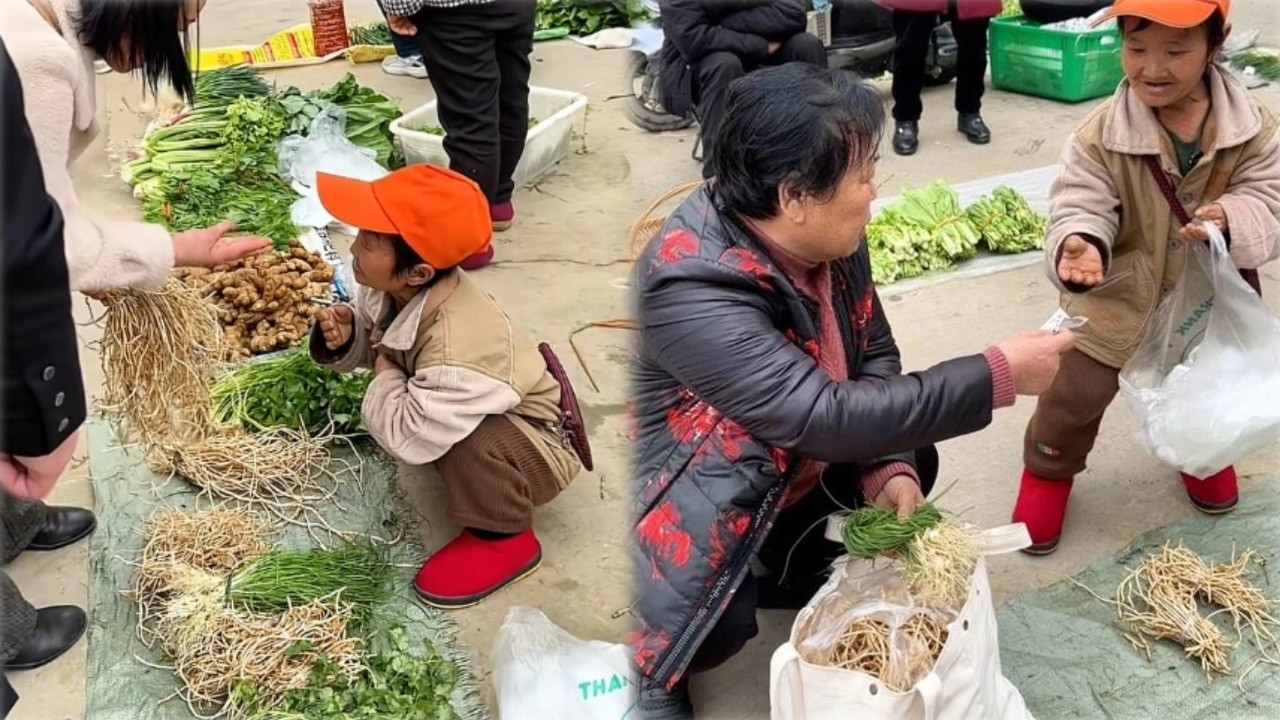 矮人宋姐赶集去卖折耳根，本想随便卖点，一到赶集直接卖爆！