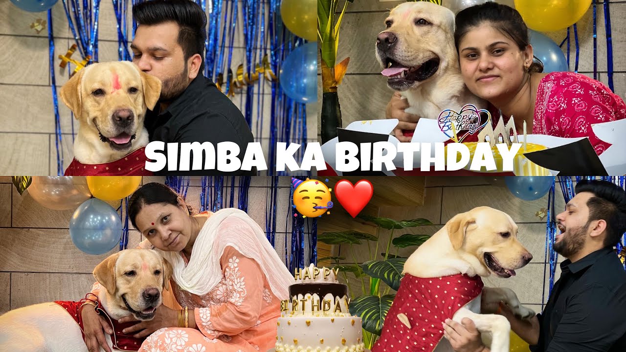 Simba Ka Birthday Celebration🥳🎉❤️🐶 #doglover #vlog