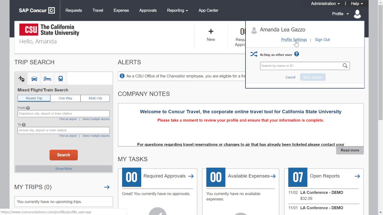 Assigning a Delegate in Concur