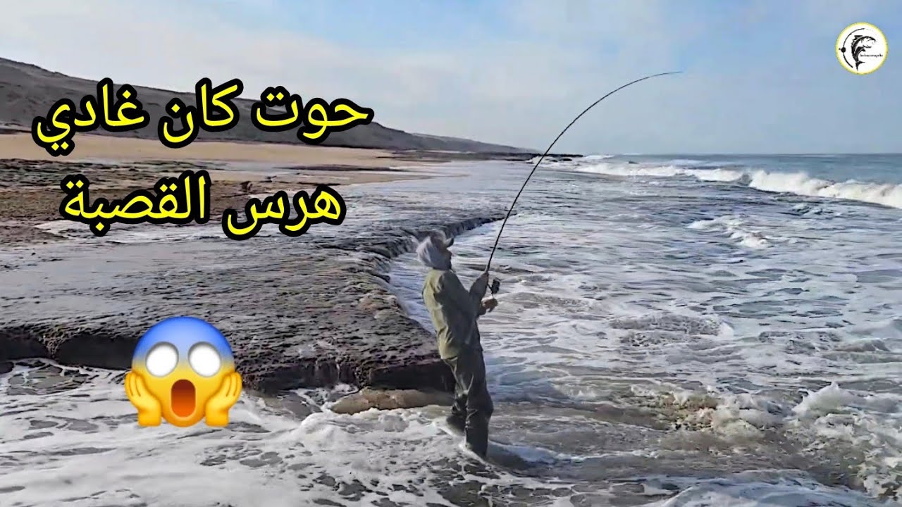 على المباشر صيد ملك السمك بوشوك 🎣