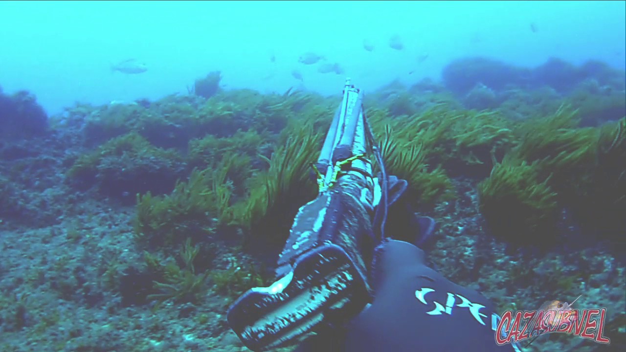 El denton Pesca submarina , pura pasión