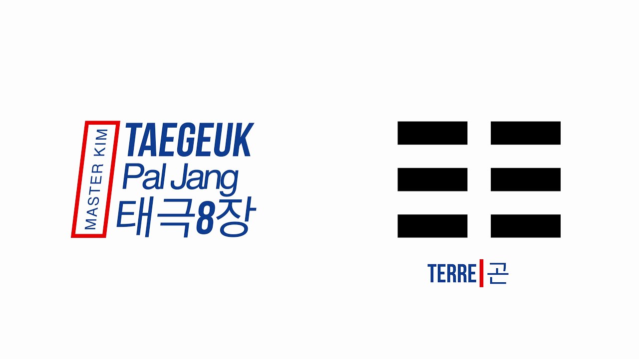TAEGEUK 8 : PAL JANG - 태극 8장 Master Kim Taekwondo Belgium