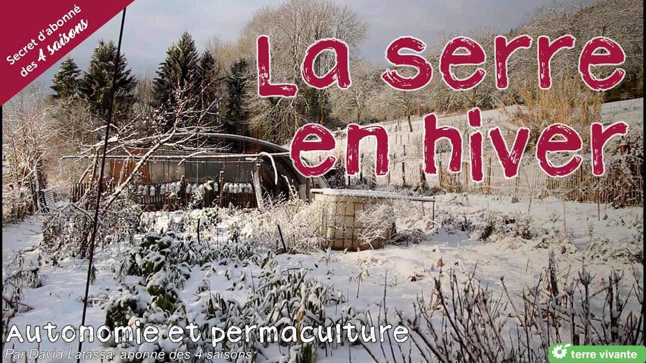 La serre en hiver - Autonomie et permaculture avec David