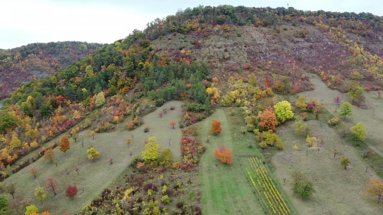 Herbst Dornburg & Umgebung 2025
