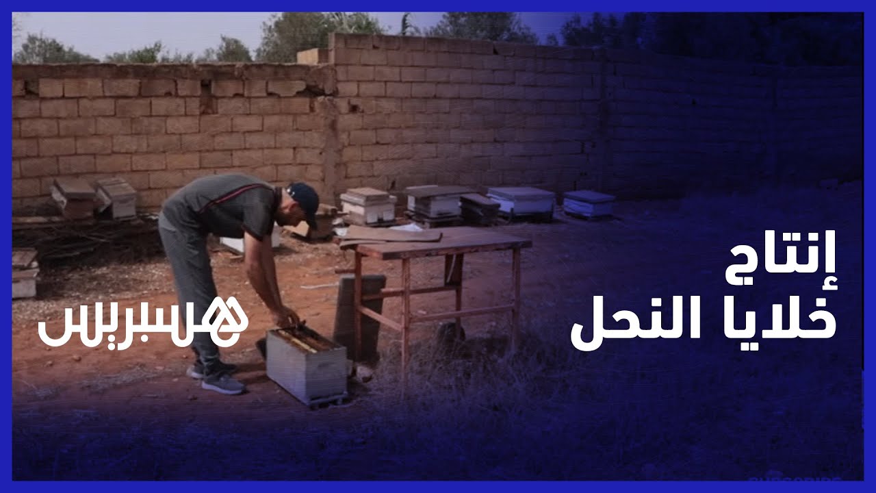 بعد تجربة في الكهرباء الصناعية.. عبد السلام تخصص في إنتاج خلايا النحل بعد تجربة في إنتاج العسل