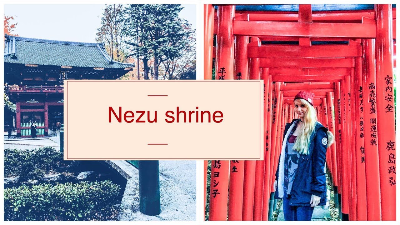 Nezu Shrine 🏮