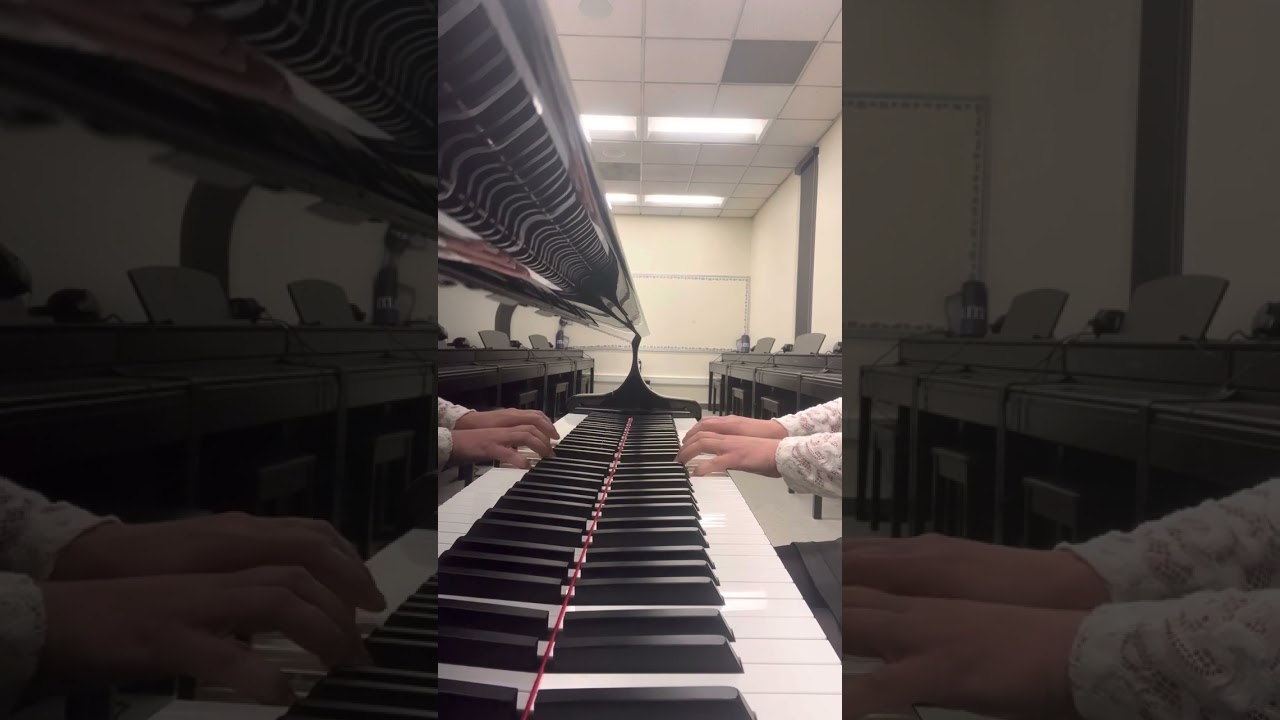 Music by John Williams arr. by Dan Coates  “Schindler’s List” #youtubeshorts #youtube #foryou #fyp