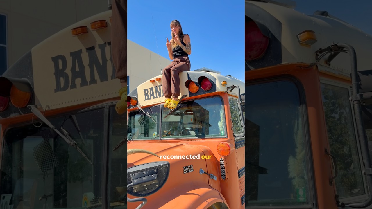 #skoolie #diybusbuild #buslife #solar