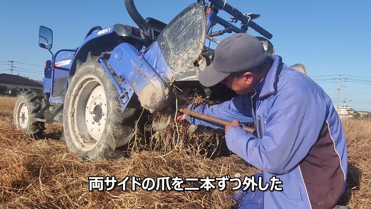 ロータリーに巻き付く雑草