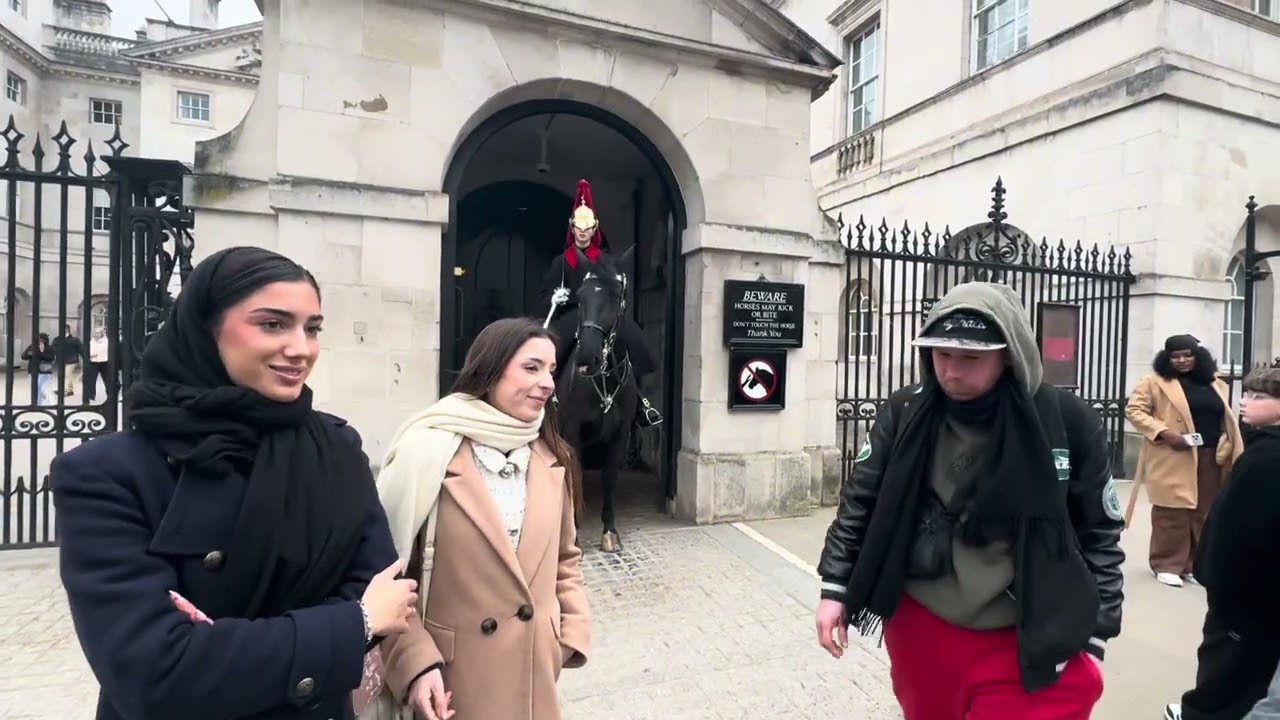 Get Out Of The Box! king’s guard yelled at Rule Breakers 