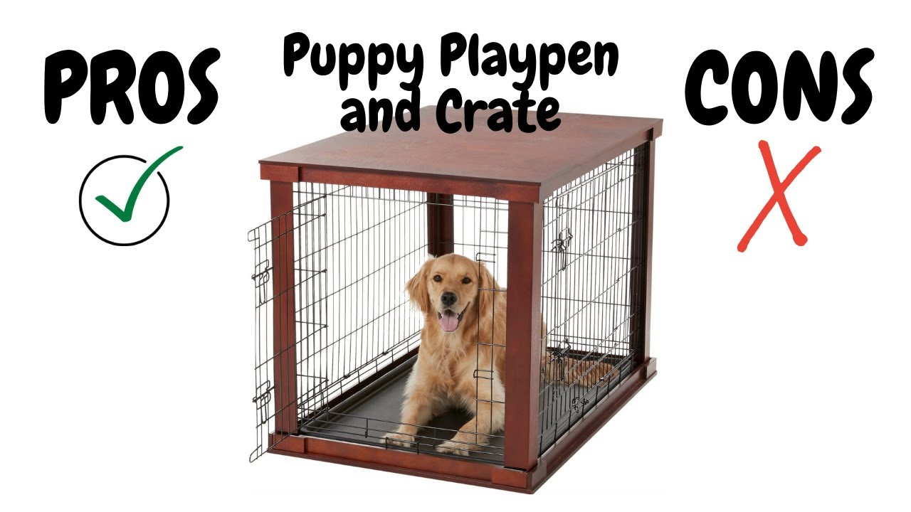 The Pros & Cons Puppy Playpen and Crate and Our Top 3 Picks | Cute Dog Videos | Pawesomepuppy