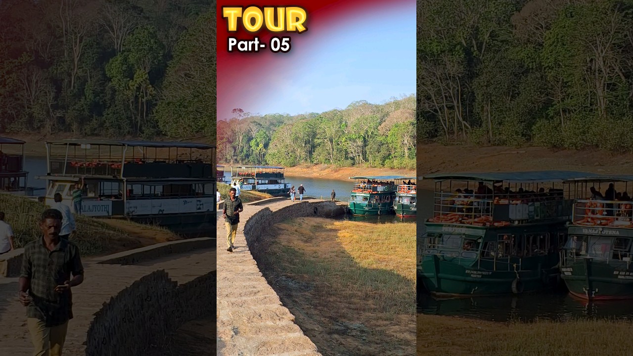 Thekkady Boating | Periyar Lake  #thekkady #ytshort